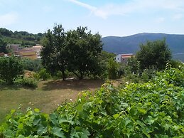 Apartments Vila Andjela