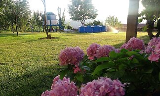 Apartments Vila Andjela