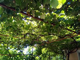 Apartments Vila Andjela