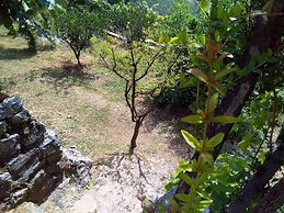 Apartments Vila Andjela