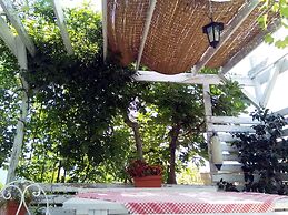 Apartments Vila Andjela