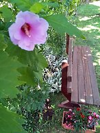 Apartments Vila Andjela