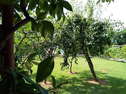 Apartments Vila Andjela