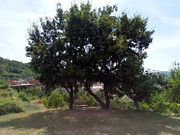 Apartments Vila Andjela