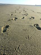 Beachfront White Sands