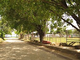 The Palms At Coco Beach
