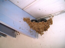 Scorpios Hotel & Suites