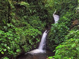 Camino Verde Bed & Breakfast