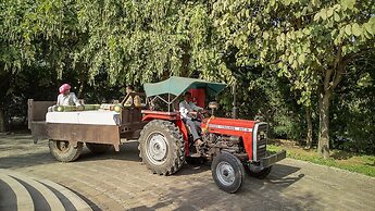 The Tree of Life Resort & Spa, Jaipur