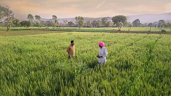 The Tree of Life Resort & Spa, Jaipur