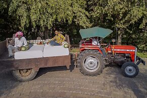 The Tree of Life Resort & Spa, Jaipur