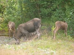 Gjesteheim Havdal - Hostel