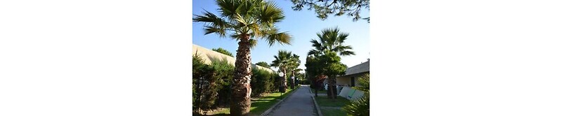 Alessidamo Club Metaponto