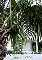 Noosa Pacific Resort