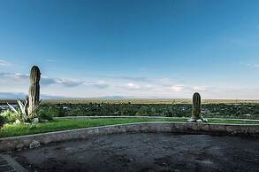 Hostería y Cabañas Valle Fertil