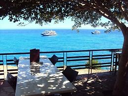 Sweet Corner Masxali