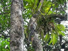 Pousada Jardim das Margaridas