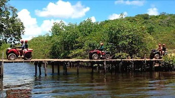 Pousada Jardim das Margaridas