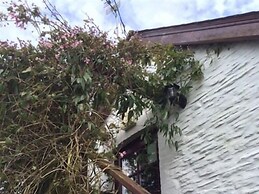 Jabajak Vineyard Restaurant With Rooms