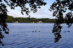 The Blacksmiths Arms