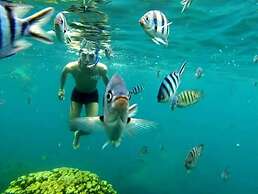 Pinnacle Koh Tao Resort