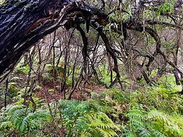 Cosy Corner Seaview Apartments
