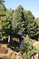 Ski- & Wanderhotel Berghof