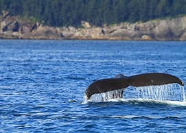 Alaska Adventure Unlimited Chalets