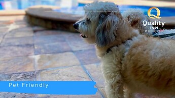 Quality Inn Mazatlan