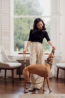 The Roseate Villa Bath