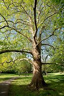 The Roseate Villa Bath