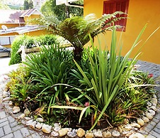 Pousada Toca das Bromelias