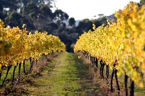 Idyllic Retreat For 4 People in Beautiful Otway Ranges, Recharge & Ref