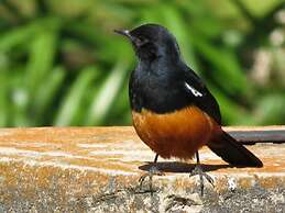 Valley of the Rainbow Fly Fishing Estate