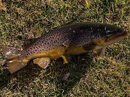 Valley of the Rainbow Fly Fishing Estate