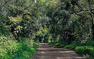 Valley of the Rainbow Fly Fishing Estate