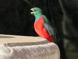 Valley of the Rainbow Fly Fishing Estate