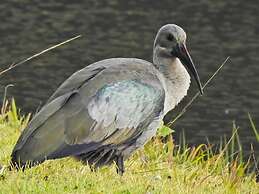 Valley of the Rainbow Fly Fishing Estate