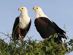 Valley of the Rainbow Fly Fishing Estate