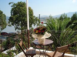 Villa Olga Lounge Hotel