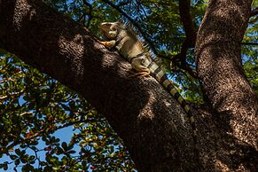 Hotel Irotama del Sol