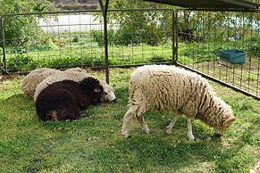El Albergue Ollantaytambo