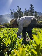 El Albergue Ollantaytambo