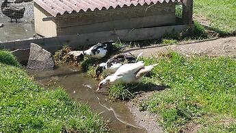 El Albergue Ollantaytambo