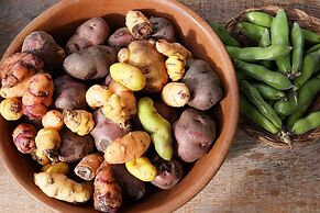 El Albergue Ollantaytambo