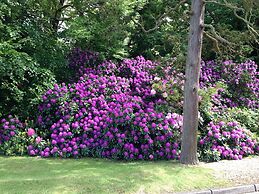 Best Western Ipswich Hotel