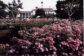 Sotetsu Fresa Inn Yokohama Totsuka