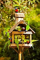 Crystal Brook Tourist Park