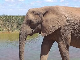 A1 Kynaston collection