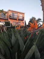 A1 Kynaston collection